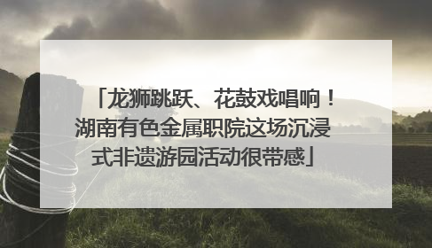 龙狮跳跃、花鼓戏唱响！湖南有色金属职院这场沉浸式非遗游园活动很带感