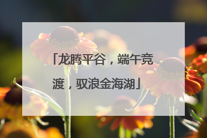 龙腾平谷，端午竞渡，驭浪金海湖
