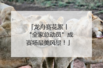 龙舟赛花絮丨 “全家总动员”成赛场最美风景！