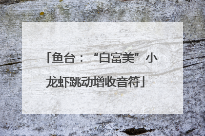 鱼台：“白富美”小龙虾跳动增收音符
