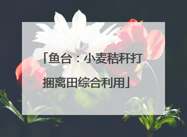 鱼台：小麦秸秆打捆离田综合利用
