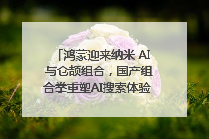 鸿蒙迎来纳米 AI 与仓颉组合，国产组合拳重塑AI搜索体验｜新经济观察