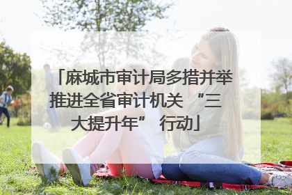 麻城市审计局多措并举推进全省审计机关 “三大提升年” 行动