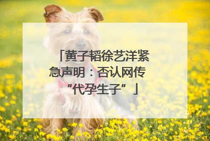 黄子韬徐艺洋紧急声明：否认网传 “代孕生子”