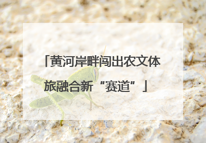 黄河岸畔闯出农文体旅融合新“赛道”