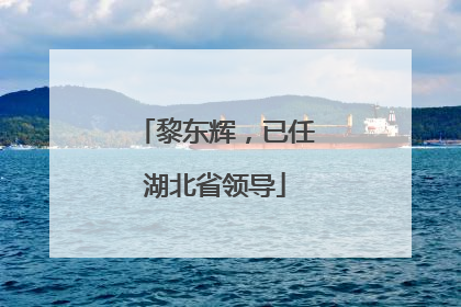 黎东辉，已任湖北省领导