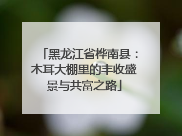 黑龙江省桦南县：木耳大棚里的丰收盛景与共富之路