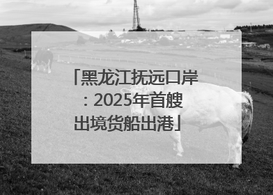 黑龙江抚远口岸：2025年首艘出境货船出港