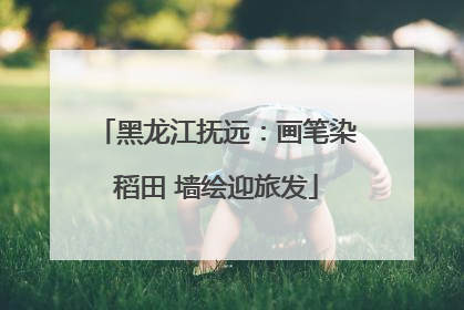 黑龙江抚远：画笔染稻田 墙绘迎旅发