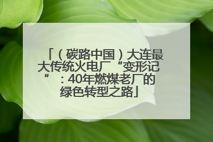 （碳路中国）大连最大传统火电厂“变形记”：40年燃煤老厂的绿色转型之路