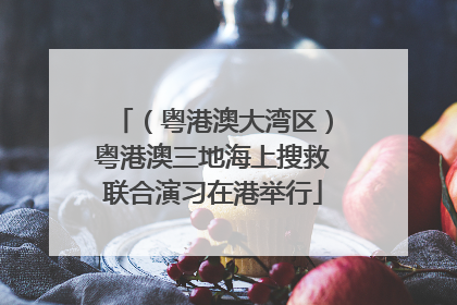 （粤港澳大湾区）粤港澳三地海上搜救联合演习在港举行