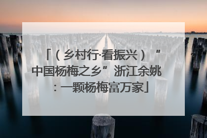 （乡村行·看振兴）“中国杨梅之乡”浙江余姚：一颗杨梅富万家