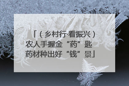 （乡村行·看振兴）农人手握金“药”匙 药材种出好“钱”景