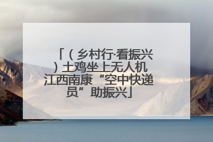 （乡村行·看振兴）土鸡坐上无人机 江西南康“空中快递员”助振兴