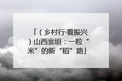 （乡村行·看振兴）山西襄垣：一粒“米”的新“稻”路