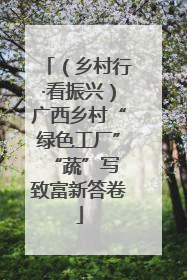 （乡村行·看振兴）广西乡村“绿色工厂” “蔬”写致富新答卷