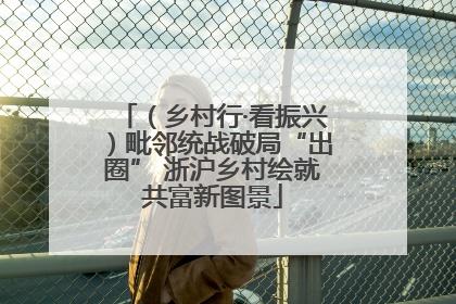 （乡村行·看振兴）毗邻统战破局“出圈” 浙沪乡村绘就共富新图景