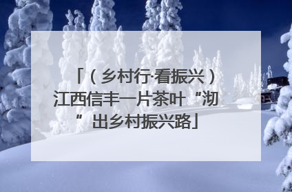 （乡村行·看振兴）江西信丰一片茶叶“沏”出乡村振兴路