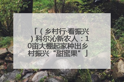 （乡村行·看振兴）科尔沁新农人：10亩大棚起家种出乡村振兴“甜蜜果”