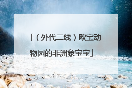 （外代二线）欧宝动物园的非洲象宝宝