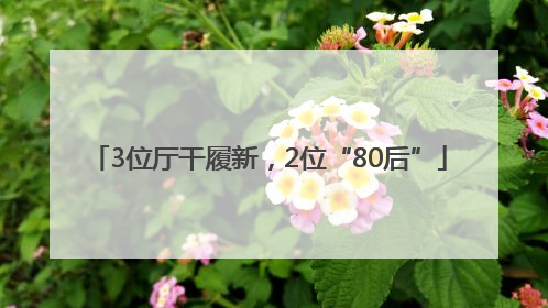 3位厅干履新，2位“80后”