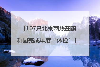 107只北京雨燕在颐和园完成年度“体检”