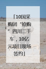 10国采购团“抢购”四川二手车，10亿元项目现场签约