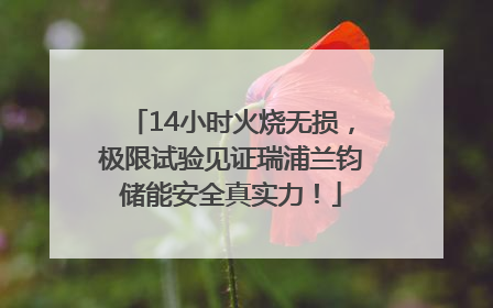 14小时火烧无损，极限试验见证瑞浦兰钧储能安全真实力！