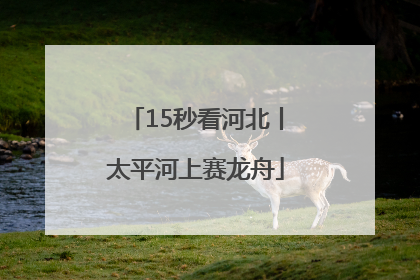 15秒看河北丨太平河上赛龙舟