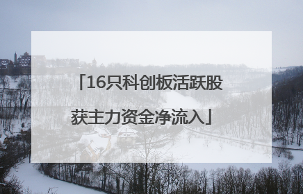 16只科创板活跃股获主力资金净流入