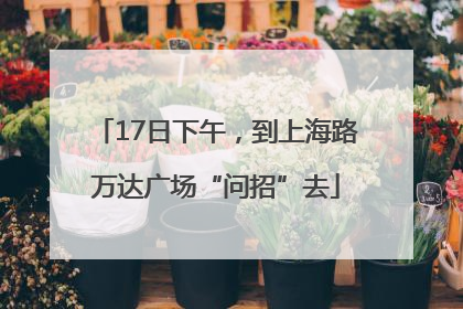 17日下午，到上海路万达广场“问招”去