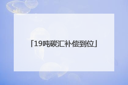 19吨碳汇补偿到位