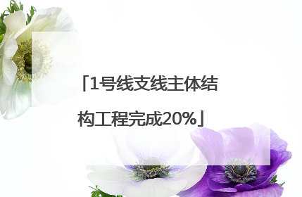 1号线支线主体结构工程完成20%