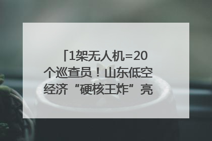 1架无人机=20个巡查员！山东低空经济“硬核王炸”亮相青岛，下一个万亿赛道藏在这里