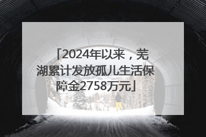 2024年以来，芜湖累计发放孤儿生活保障金2758万元