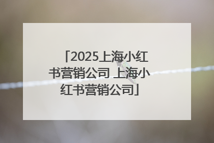 2025上海小红书营销公司 上海小红书营销公司