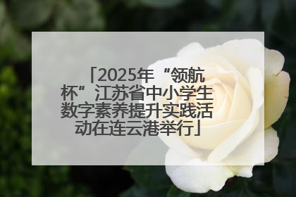2025年“领航杯”江苏省中小学生数字素养提升实践活动在连云港举行