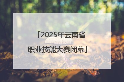 2025年云南省职业技能大赛闭幕