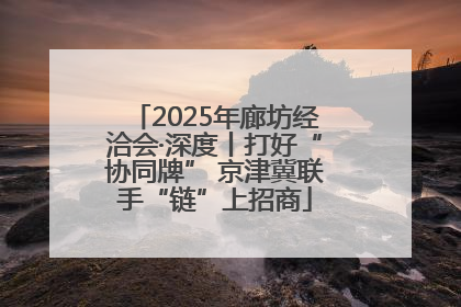 2025年廊坊经洽会·深度丨打好“协同牌” 京津冀联手“链”上招商