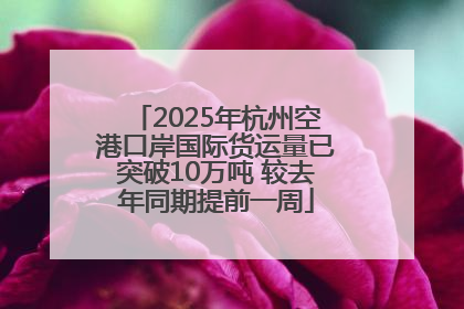 2025年杭州空港口岸国际货运量已突破10万吨 较去年同期提前一周