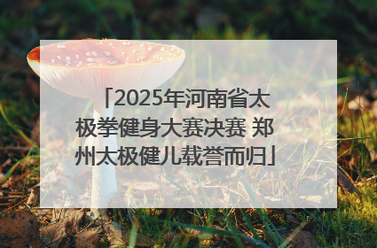 2025年河南省太极拳健身大赛决赛 郑州太极健儿载誉而归