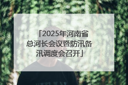 2025年河南省总河长会议暨防汛备汛调度会召开