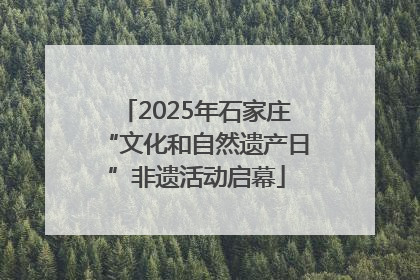2025年石家庄“文化和自然遗产日”非遗活动启幕