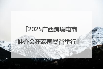 2025广西跨境电商推介会在泰国曼谷举行