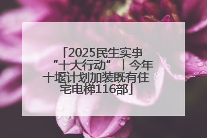 2025民生实事“十大行动”丨今年十堰计划加装既有住宅电梯116部