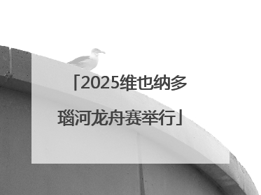 2025维也纳多瑙河龙舟赛举行