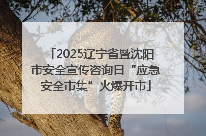 2025辽宁省暨沈阳市安全宣传咨询日“应急安全市集”火爆开市