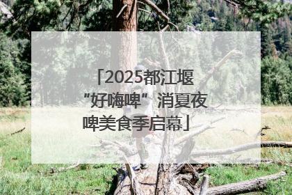 2025都江堰“好嗨啤”消夏夜啤美食季启幕