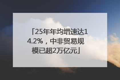 25年年均增速达14.2%，中非贸易规模已超2万亿元