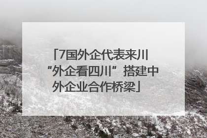 7国外企代表来川 “外企看四川”搭建中外企业合作桥梁